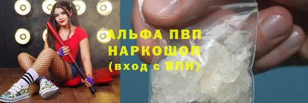 PSILOCYBIN Няндома